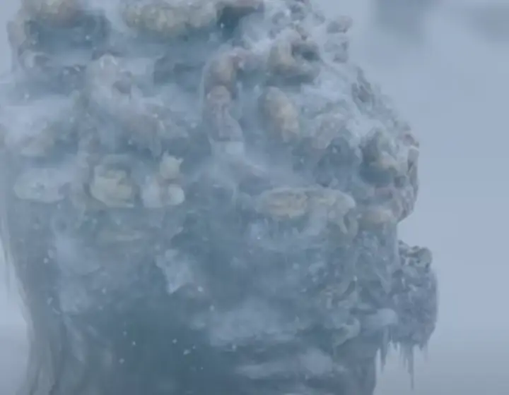 더 라스트 오브 어스 클릭커