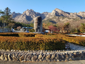 월출산 단풍