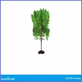 엔다이브 재배 상토 선정 배수 통풍 연속 수확_9