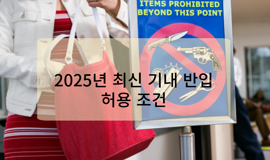 2025년 최신 기내 반입 허용 조건