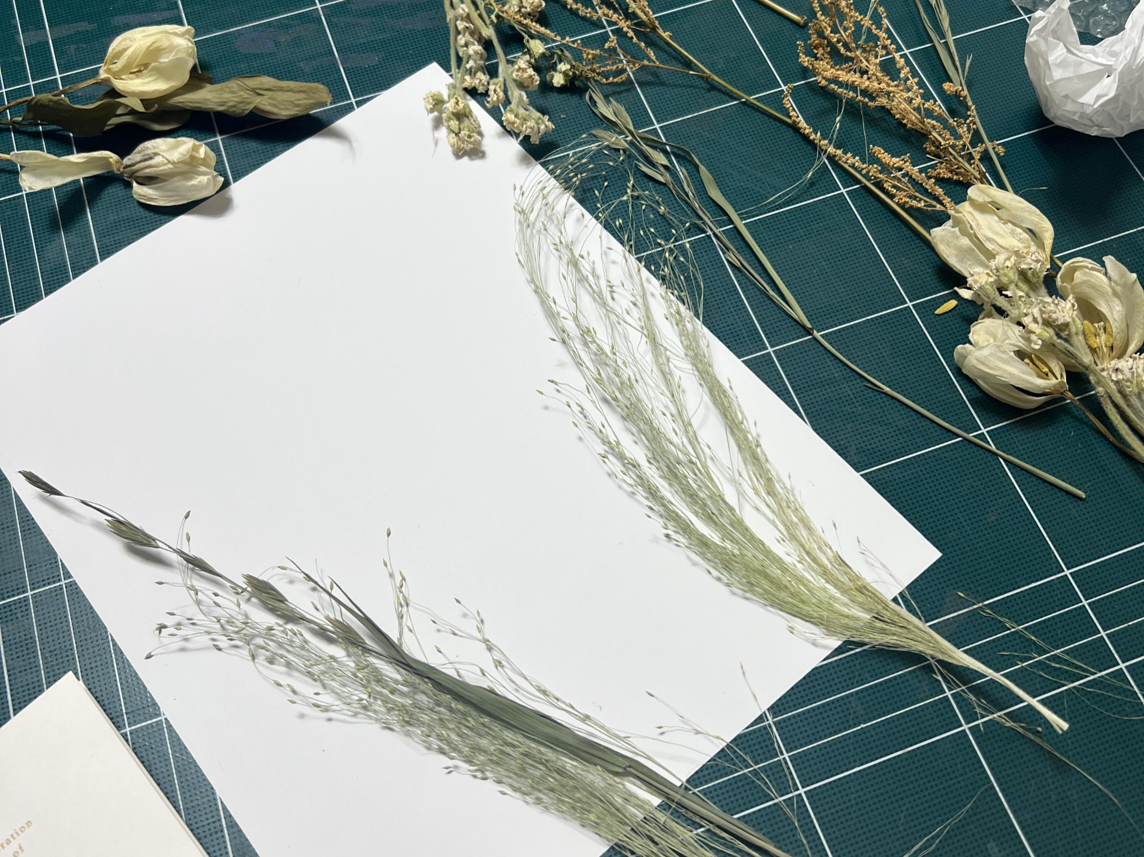 셀프 부케 말린 액자 만들기