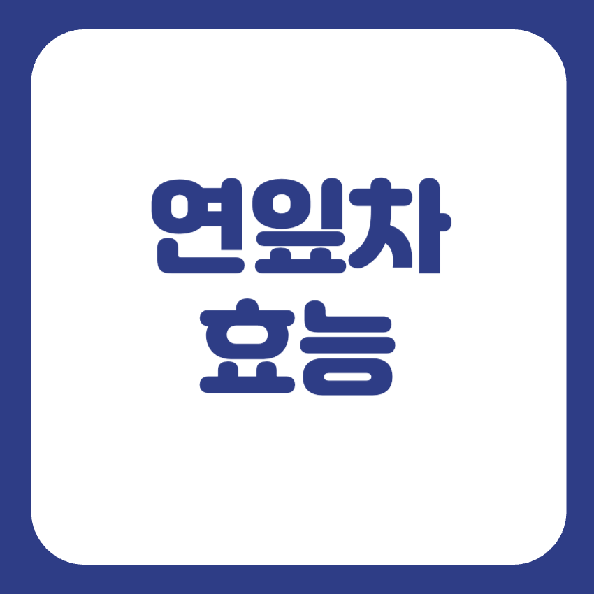 연잎차 효능