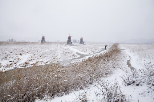 인천 겨울 여행 명소, 인천대공원·소래습지·계양산·강화고려산