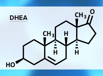 DHEA
