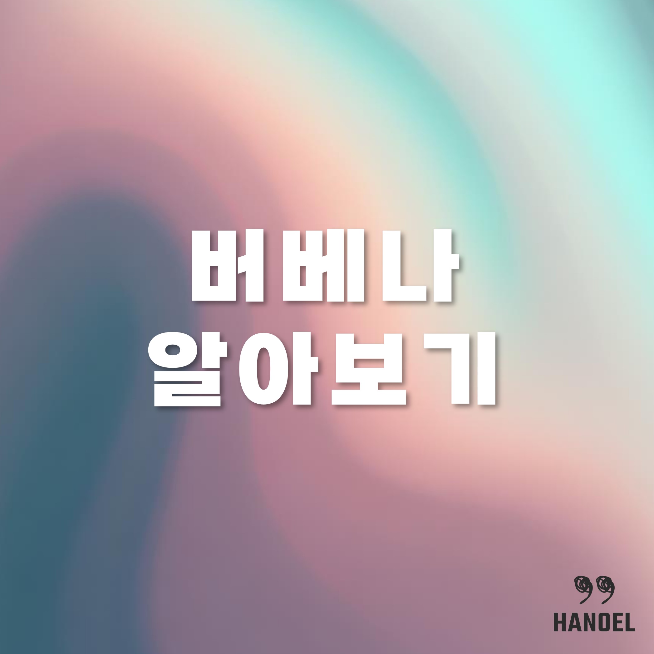 버베나알아보기 종류와 키우기