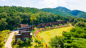 소백산 자연휴양림휴양림