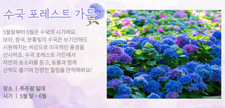 sokook