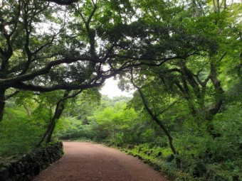제주도 여행