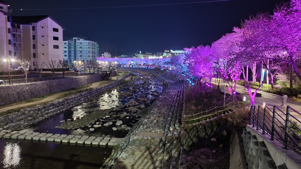 수안보 온천제