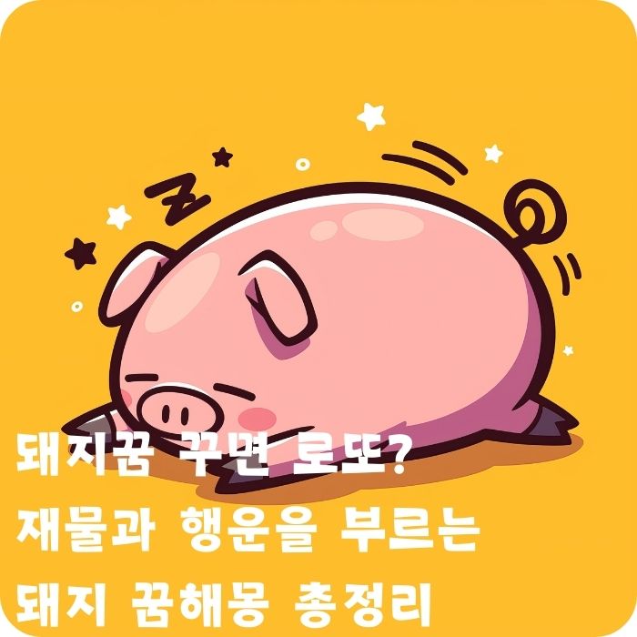 돼지꿈 꾸면 로또 재물과 행운을 부르는 돼지 꿈해몽 총정리