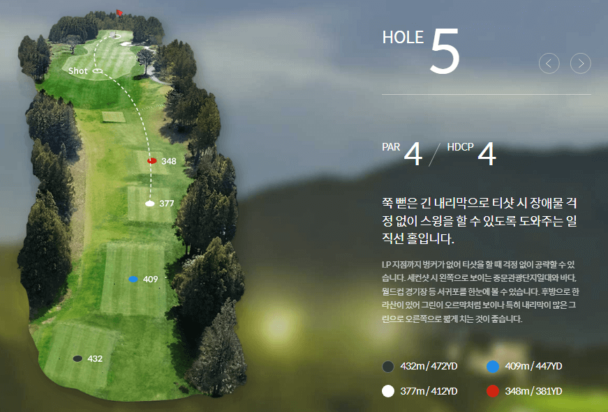 롯데스카이힐제주 컨트리클럽 포레스트코스 5