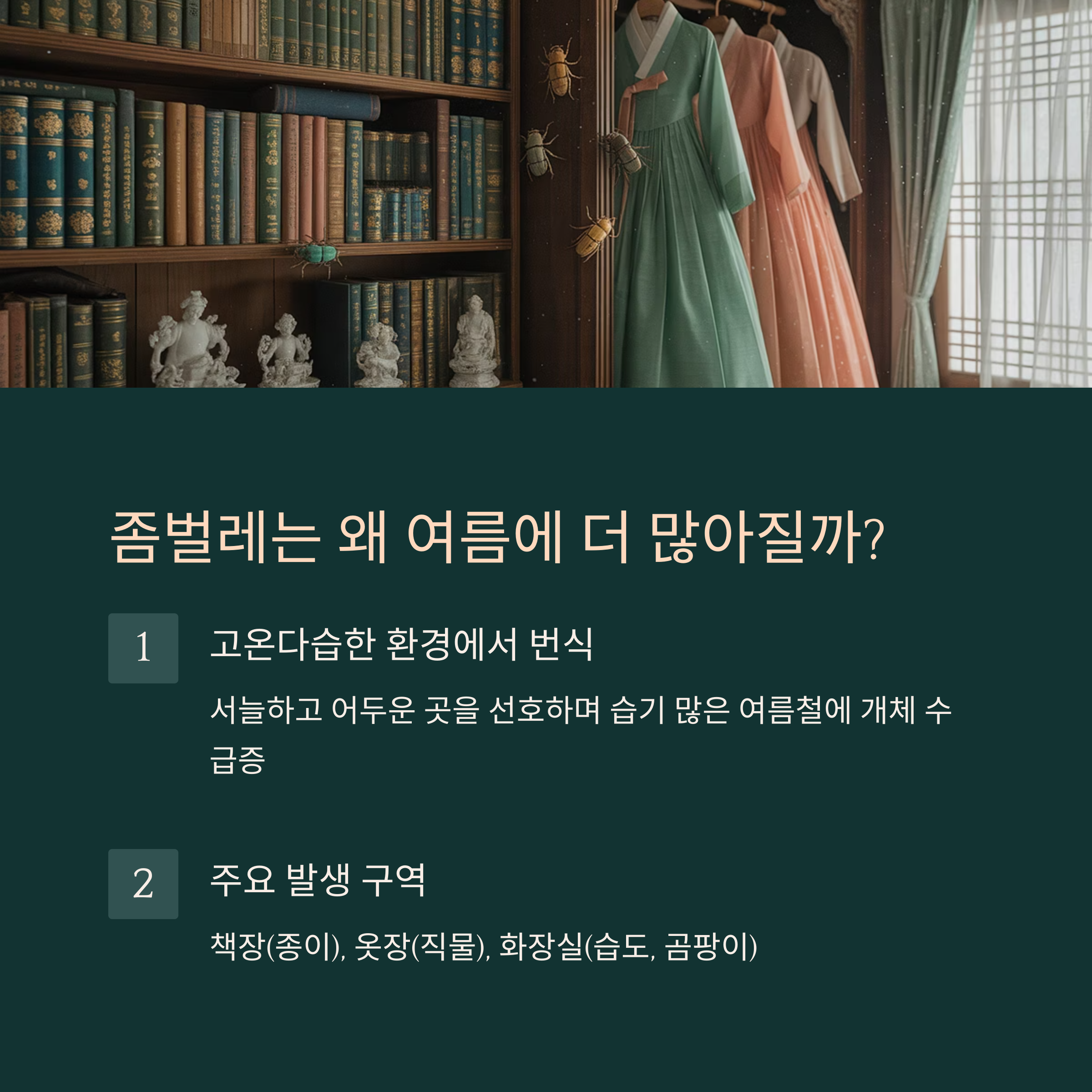 좀벌레는 왜 여름에 더 많아질까?