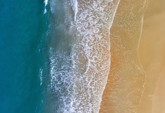 강원도 해수욕장 개장일