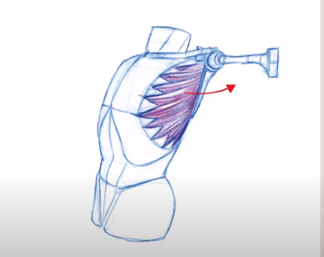 김락희의 인체 드로잉