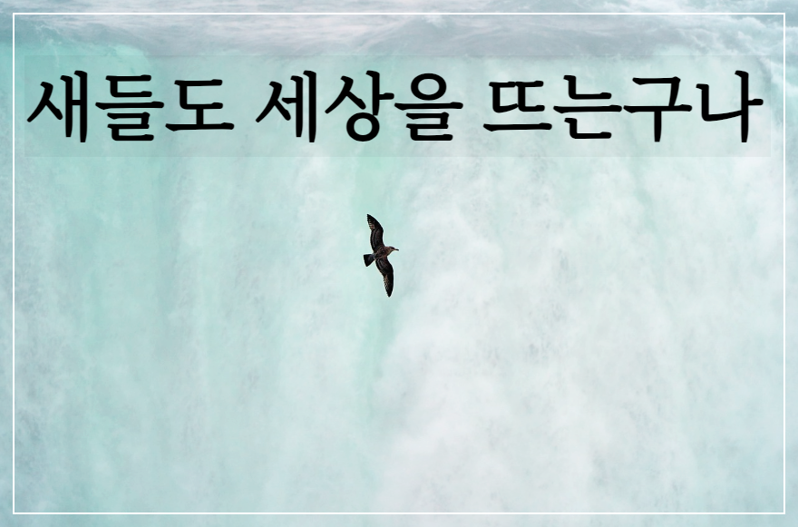 황지우 - 새들도 세상을 뜨는구나