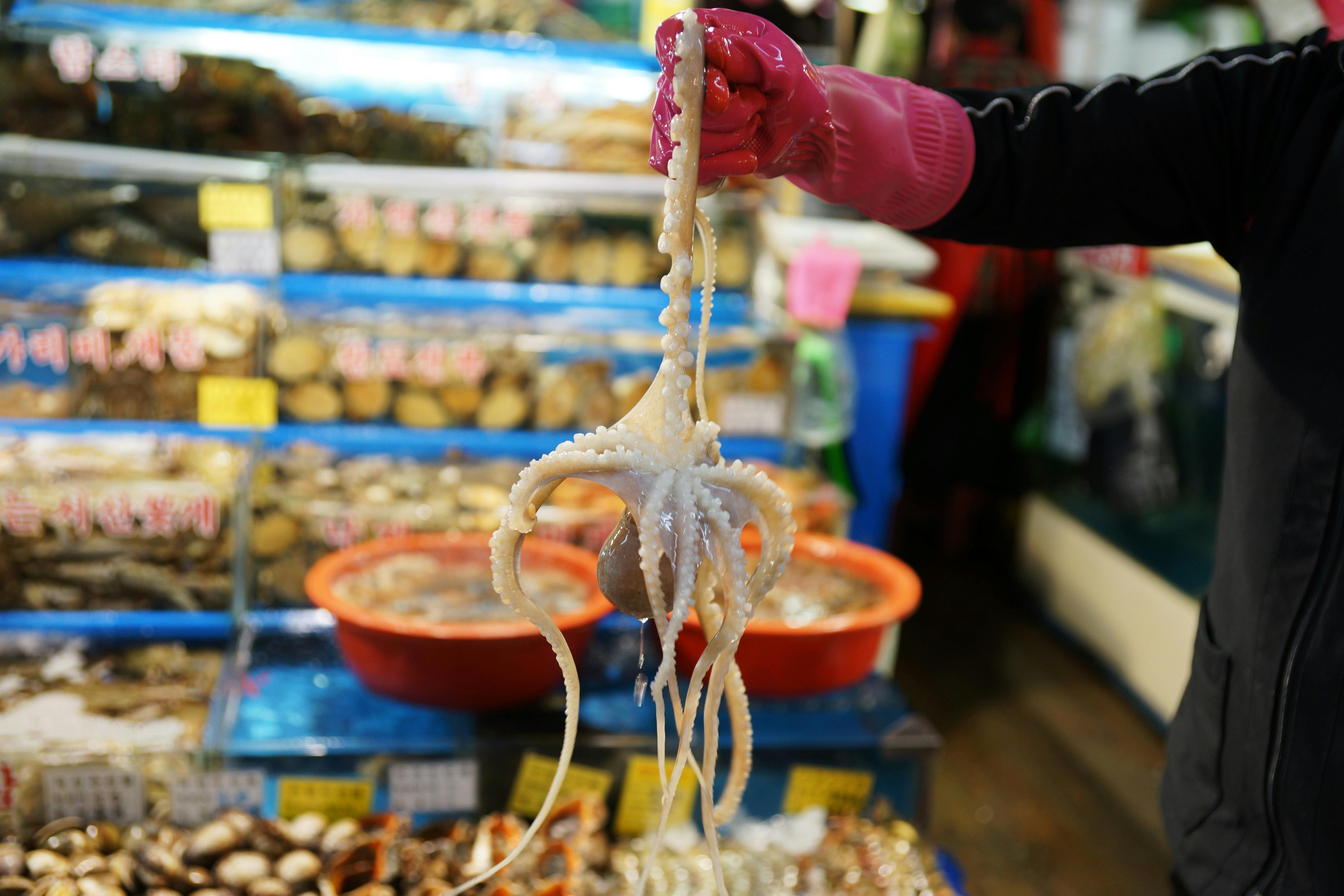 온누리상품권 전통시장