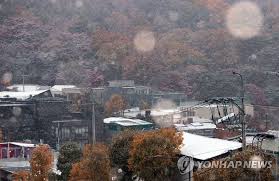 서울 첫눈, 2025 첫눈 예보, 첫눈 날짜, 겨울 날씨, 서울 눈 오는 날, 기상청 예보, 서울 첫눈 기록