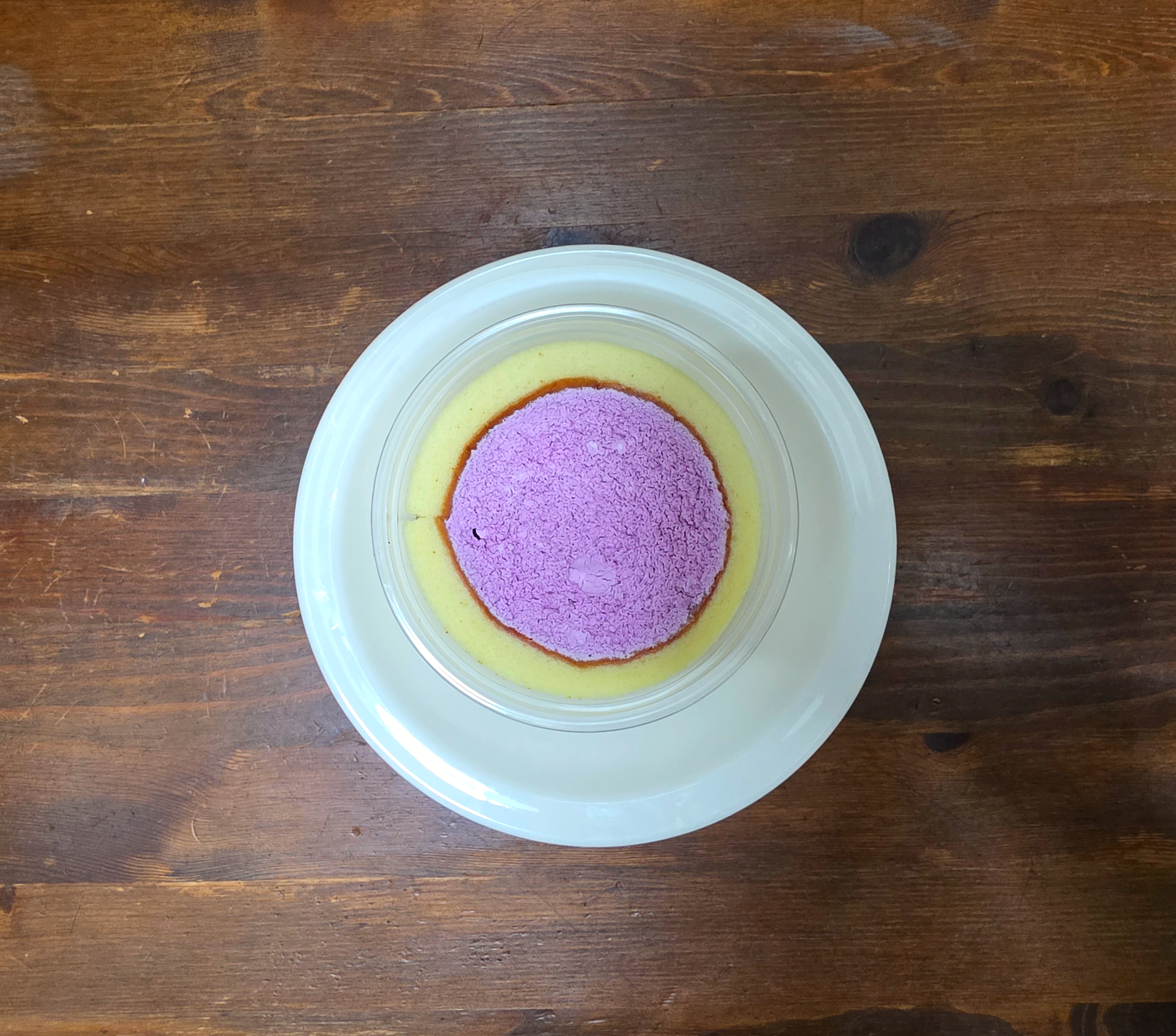 포켓몬빵떠롤에올라간메타몽