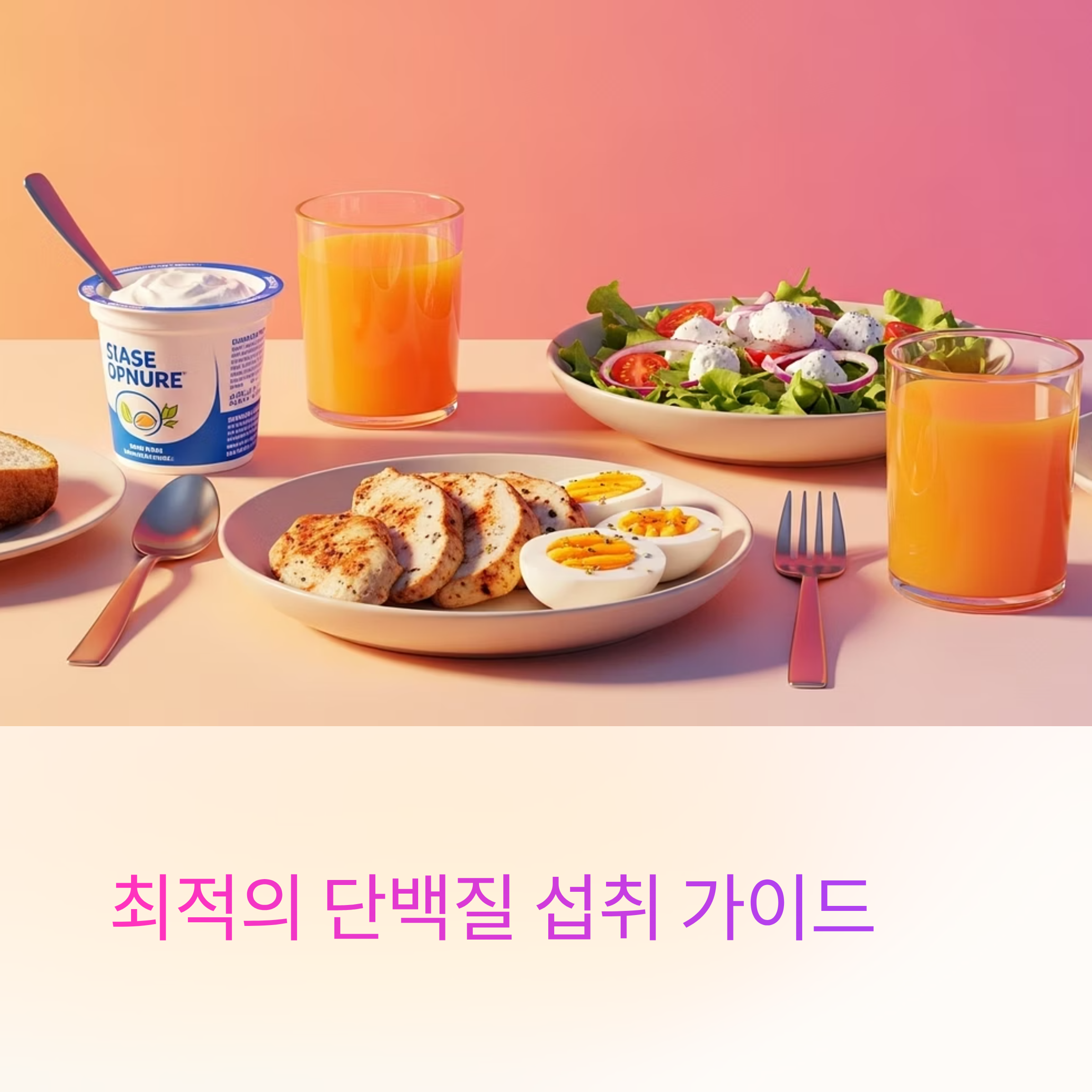 단백질 섭취 가이드