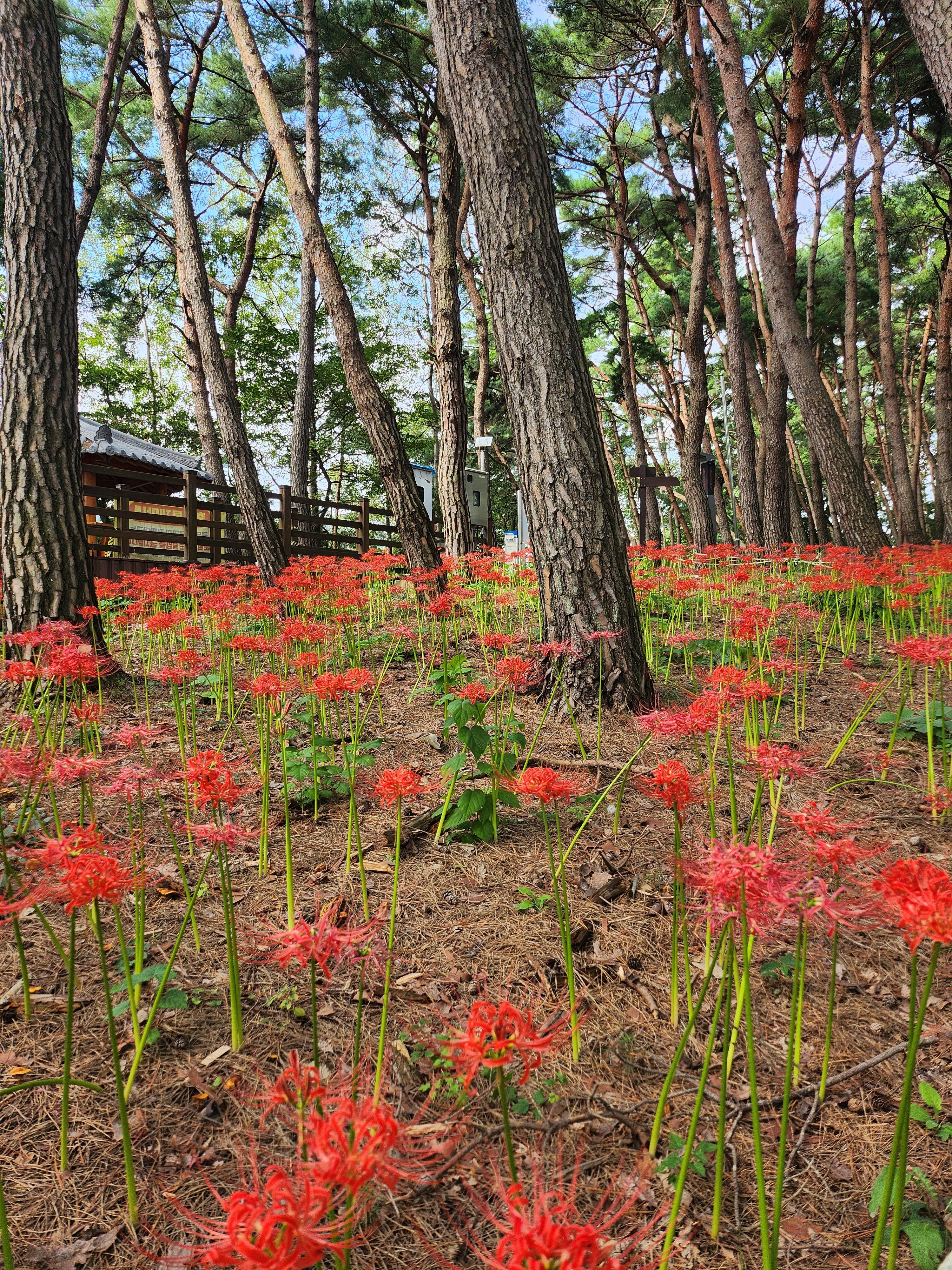책임질 각오가 없으면, 성장할 수 없다.
