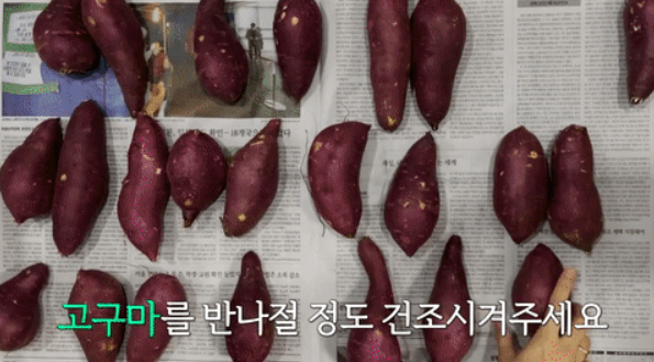 고구마 건조