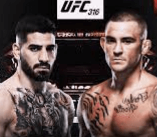 UFC 316