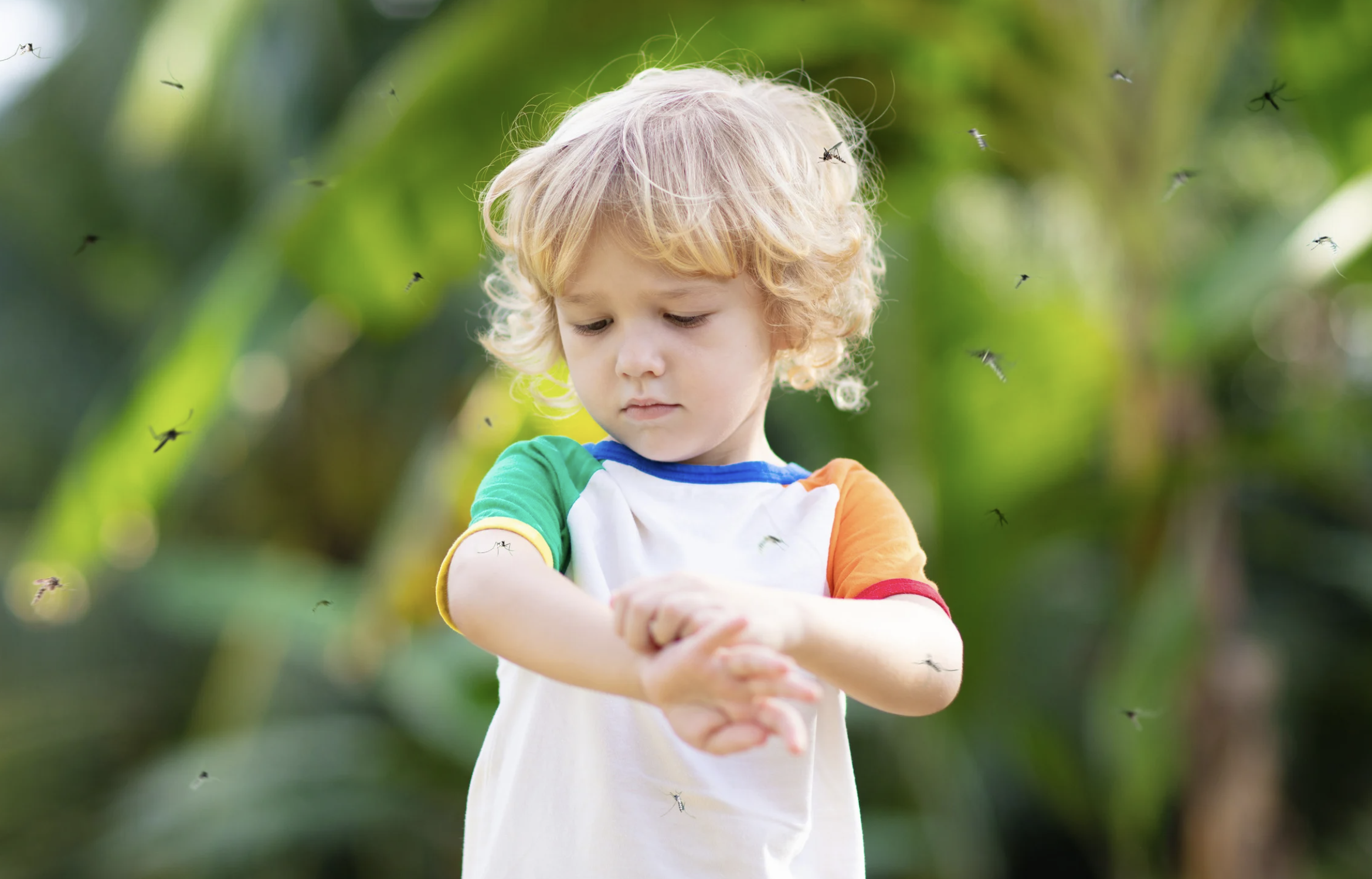 모기때문에 팔을 긁고 있는 아이의 모습