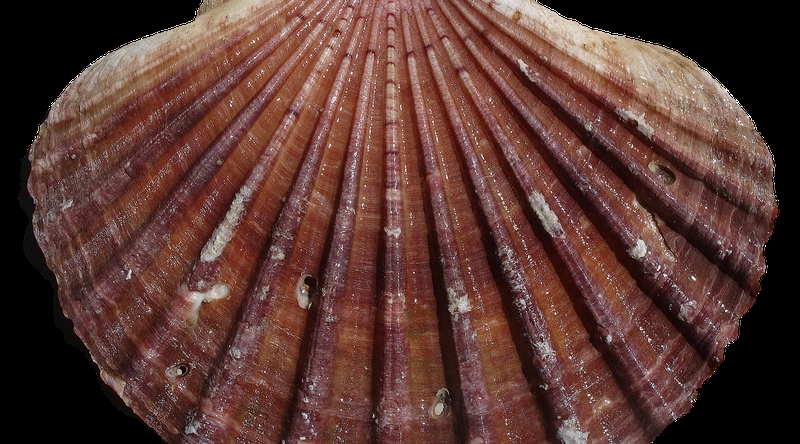 상가 자동문이 중요한 이유