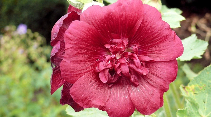 1. 전기 안전을 위한 기본 원칙