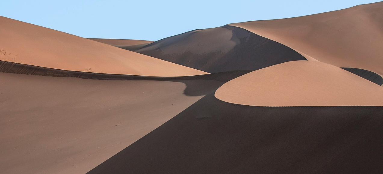 모래언덕 고비 사막