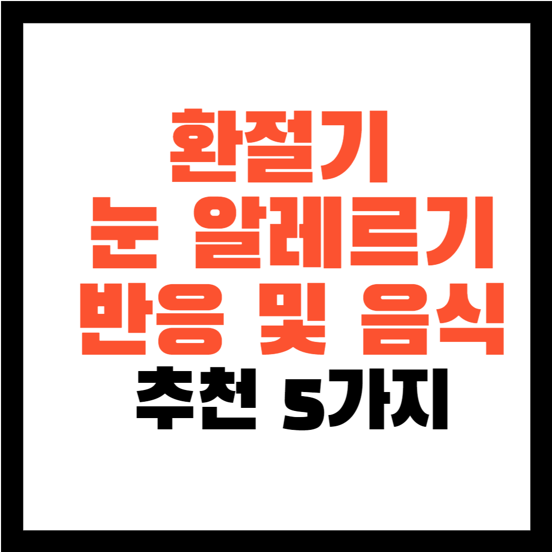 눈 알러지, 눈 알레르기 반응, 눈 알레르기 증상, 눈 알레르기 음식