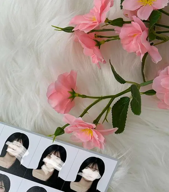 피치스페이스