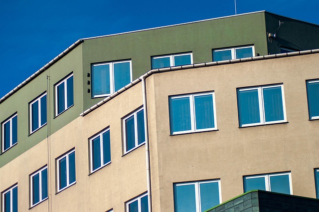 운전면허 분실 모바일면허증 적성검사 절차 주의사항