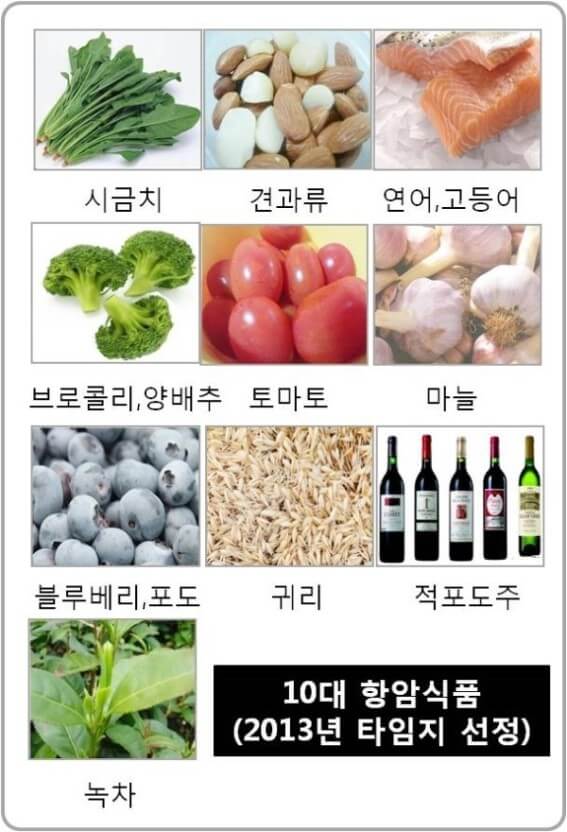 10대 항암식품