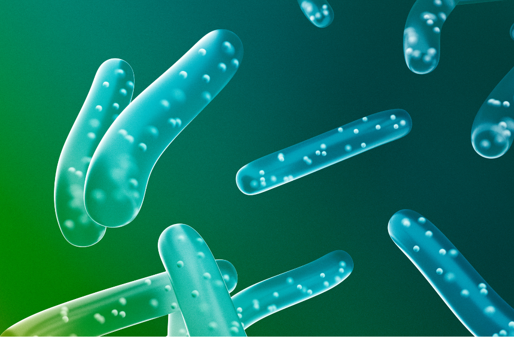 LGG 유산균 추천