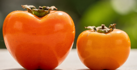 대봉감 보관방법