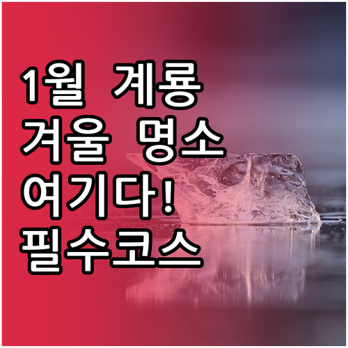 1월 계룡시 가볼만한곳 5곳 정리와 ..
