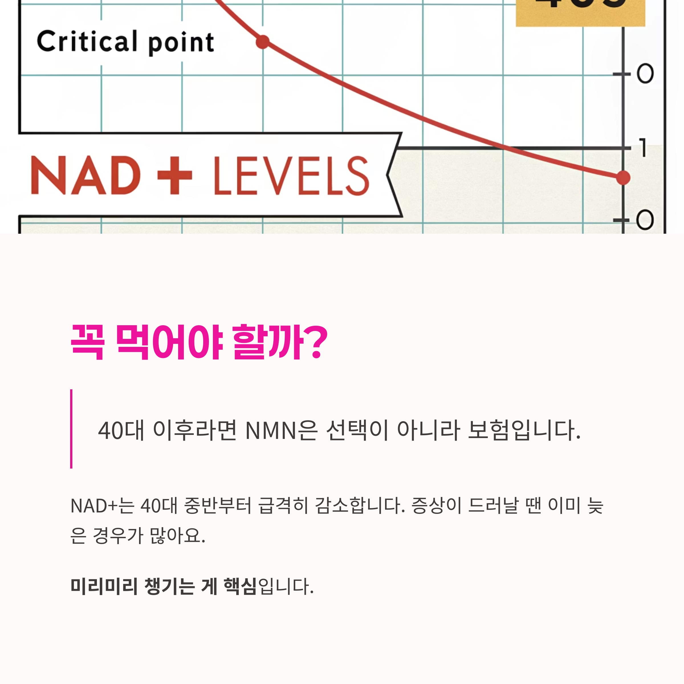 기억력개선,