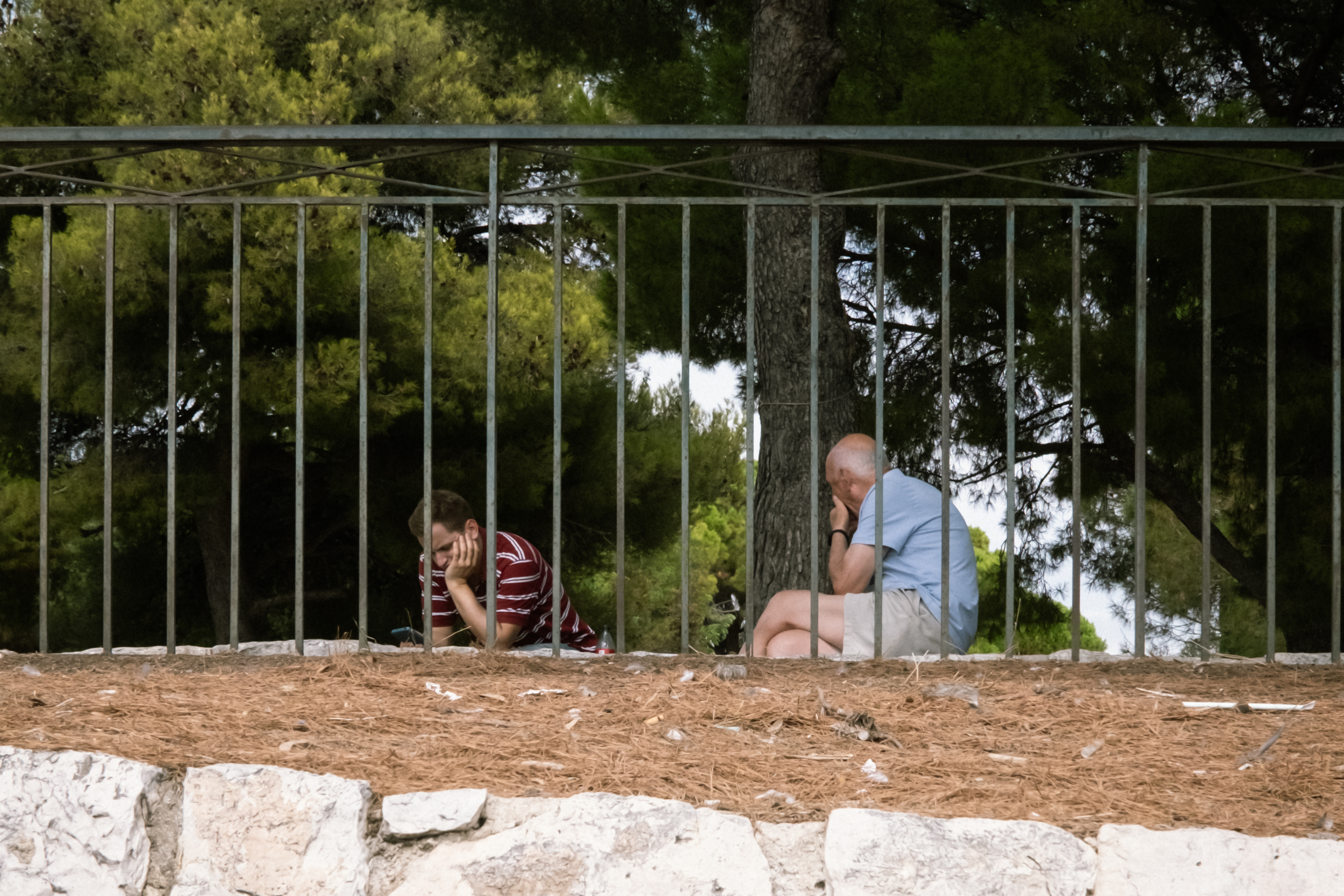 철제 울타리 너머 공원 벤치에 앉아 휴식을 취하고 있는 두 남자의 스냅 사진. 왼쪽 남자는 턱을 괴고 스마트폰을 보고 있으며, 오른쪽 남자는 편하게 앉아 정면을 응시함. 신노구치의 Lightra 400 프리셋이 적용되어, 울창한 나무의 초록색과 붉은 흙바닥이 차분하고 현대적인 필름 느낌으로 보정됨