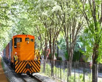 전주 이팝나무 철길_6
