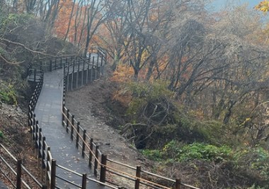 숲나들e 양평 설매재 자연휴양림 국내 여행지 추천 관련사진