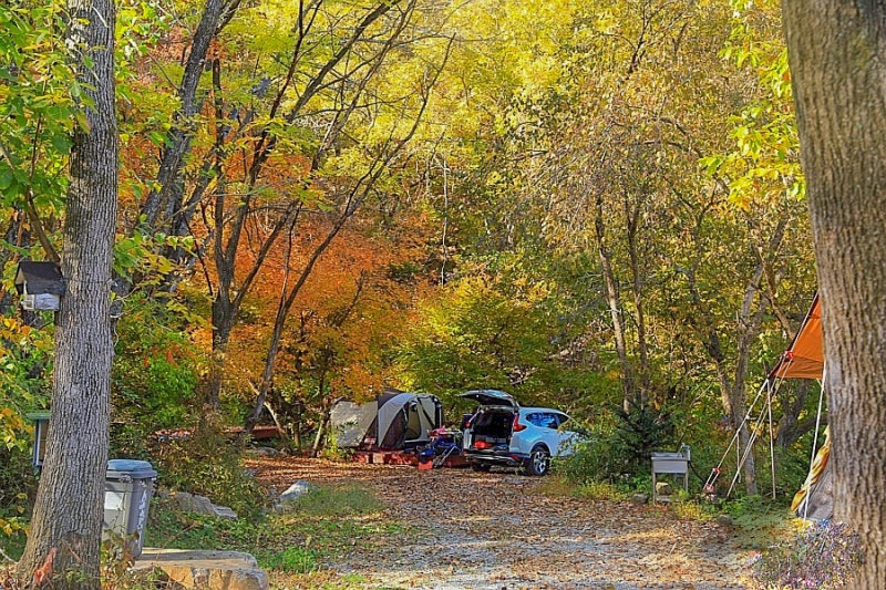 2024 가을 낭만 캠핑장 추천