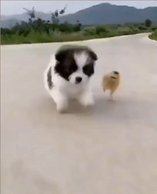 10월 6일 금 . 경제뉴스 부동산뉴스 신문스크랩