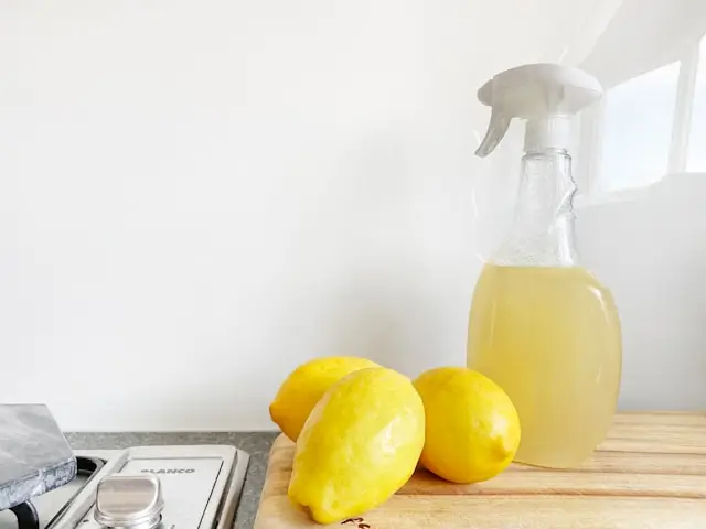 입주청소 업체 전문성