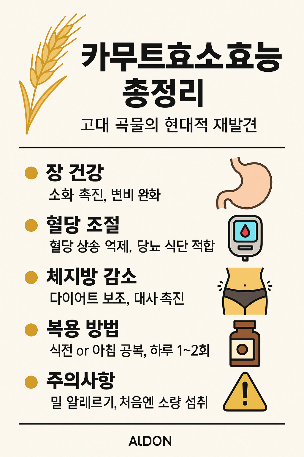 카무트효소효능-혈당관리-곡물-효소-카무트효소