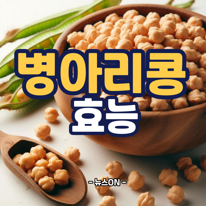 병아리콩 효능