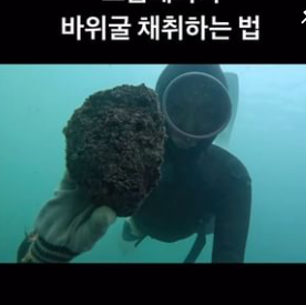 거제 문어 택배 주문