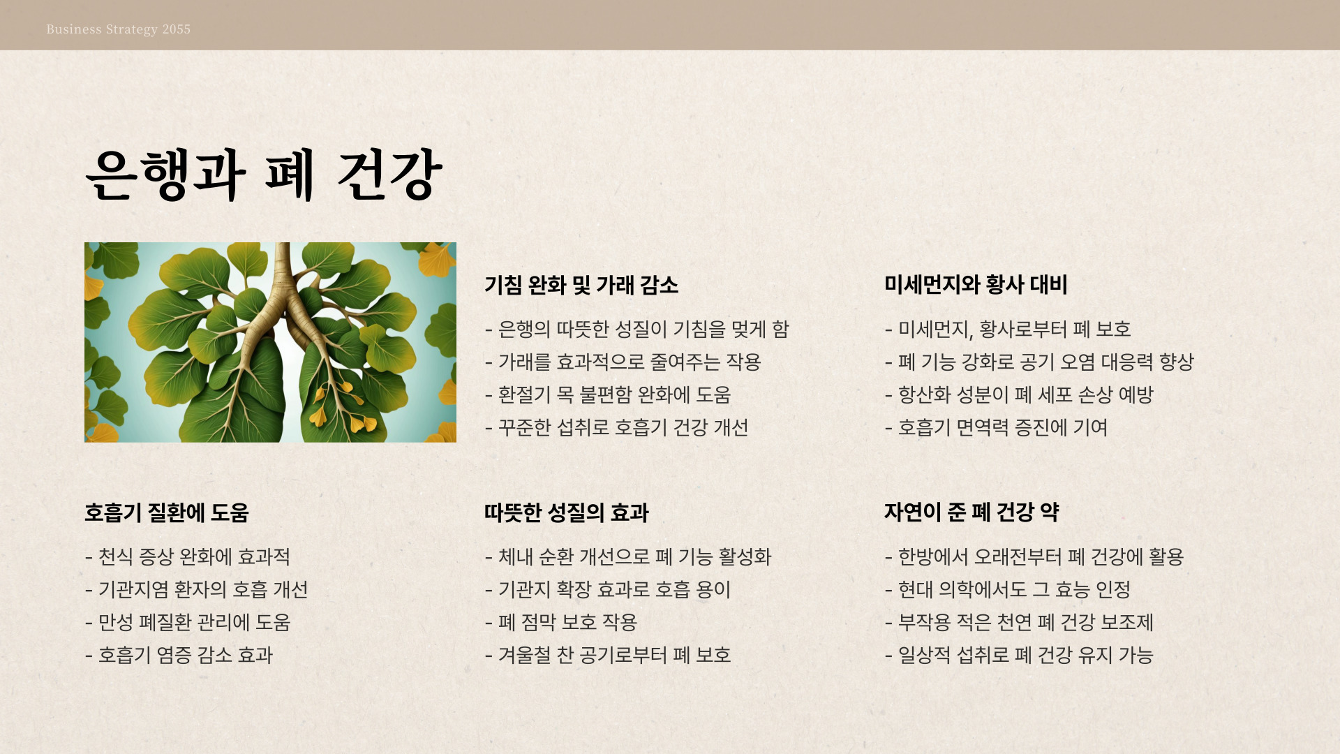 은행의 효과 및 효능