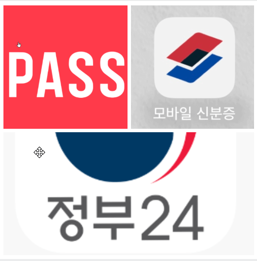 모바일 운전면허증 앱 / 패스