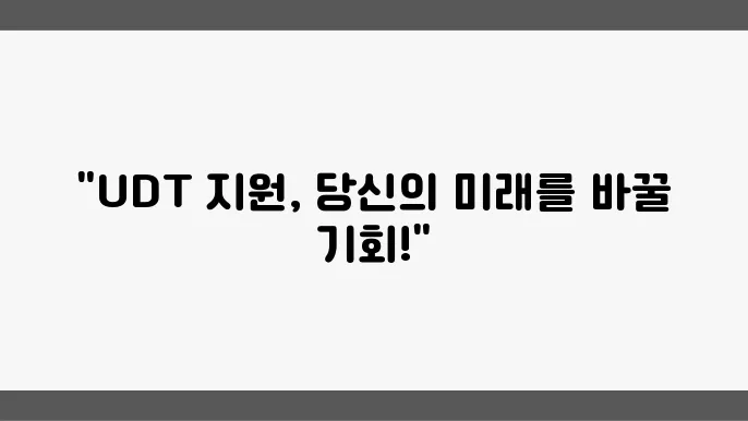 UDT 지원 방법 알아보자